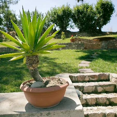 Russelia Καλαβάρδα